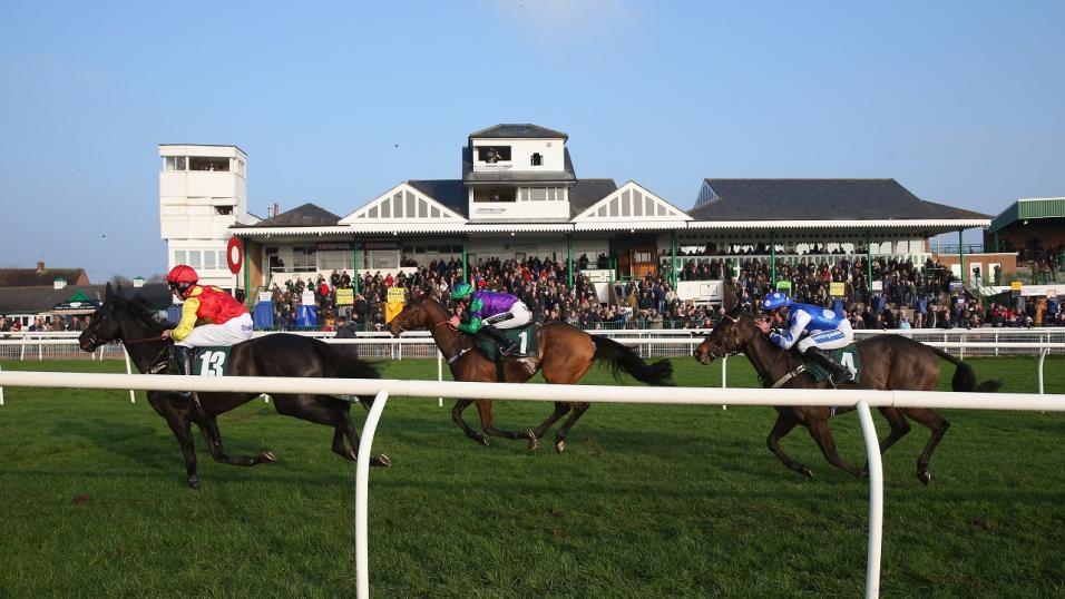 Horses crossing the line at Catterick